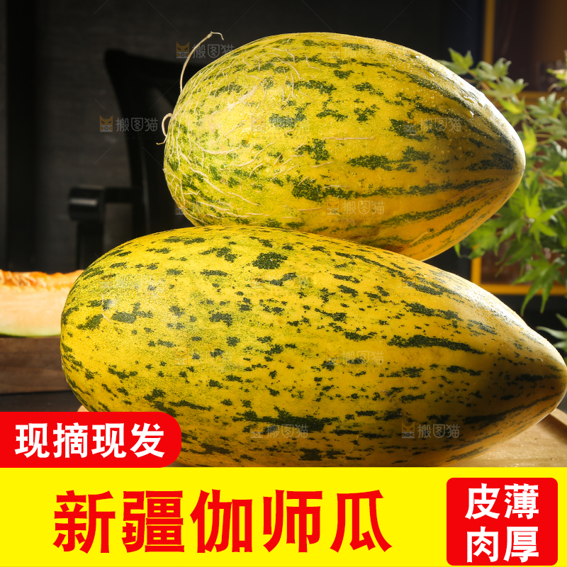 木盘里放着伽师瓜