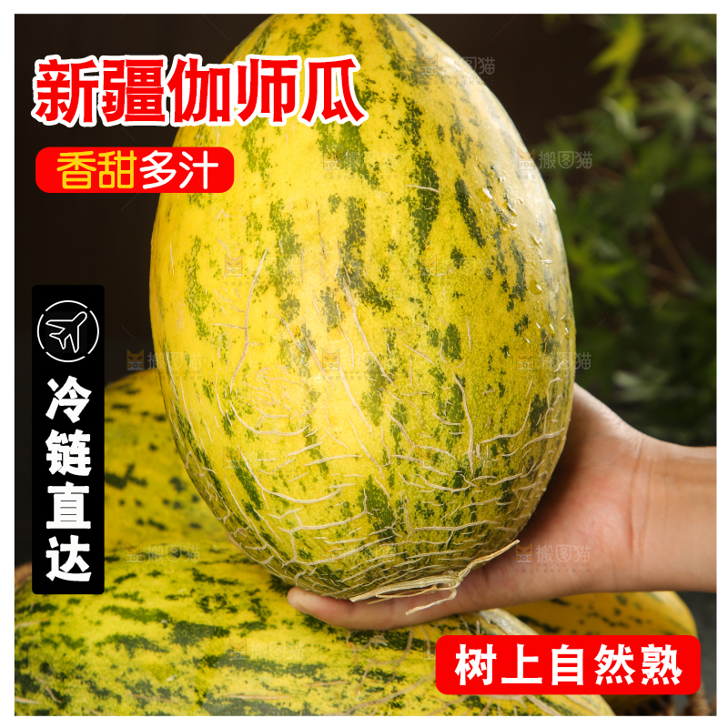 手里拿着新疆哈密瓜