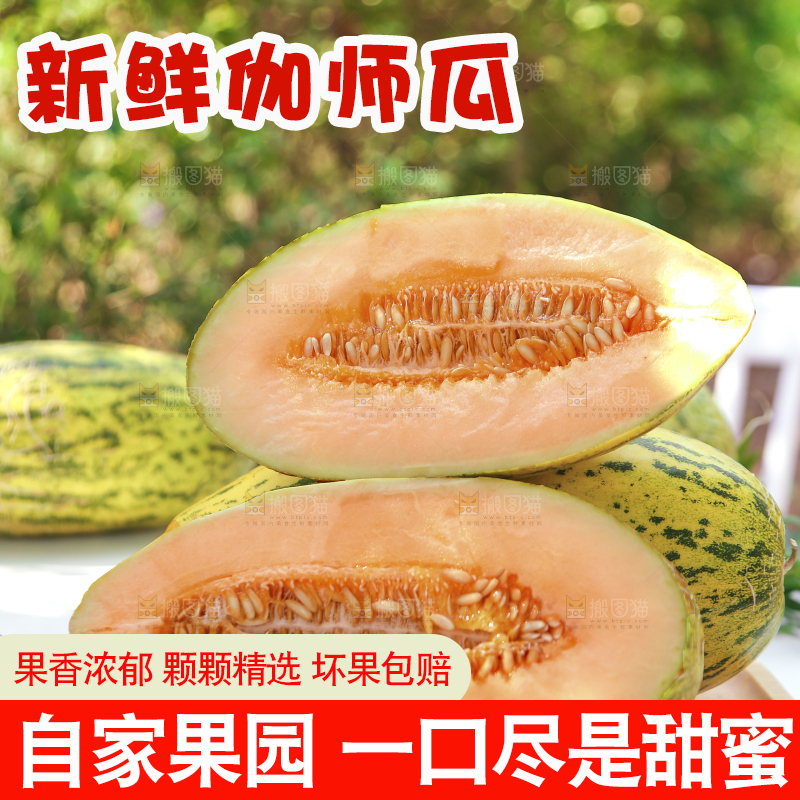 木盘里放着切开的伽师瓜