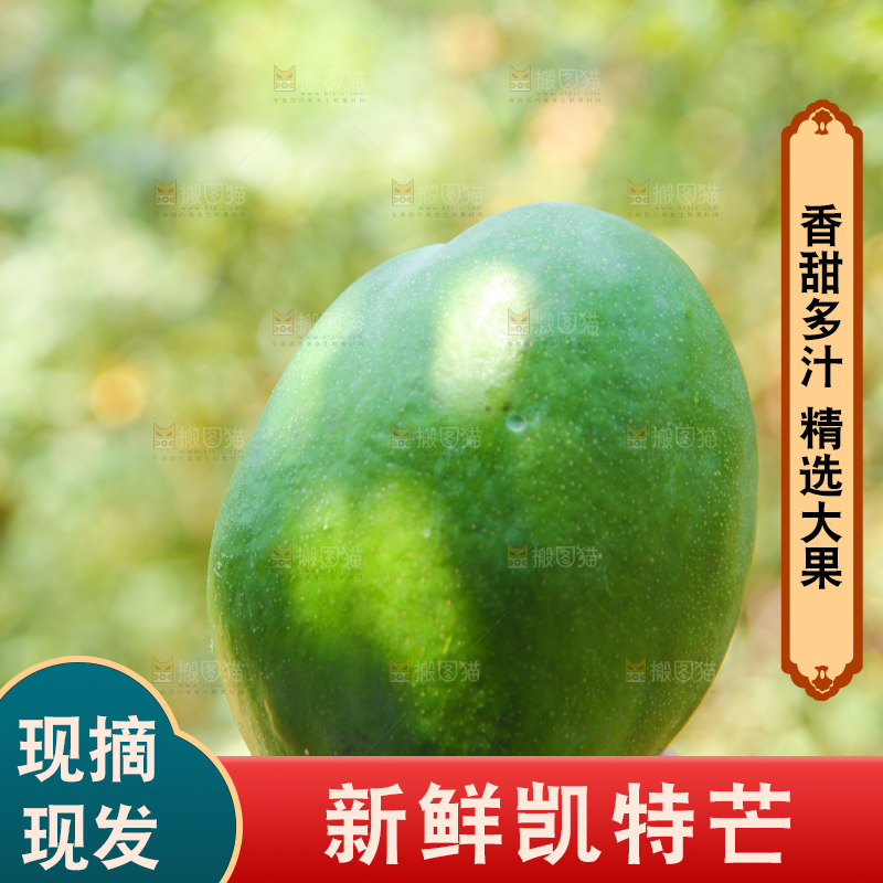 手里拿着凯特芒果
