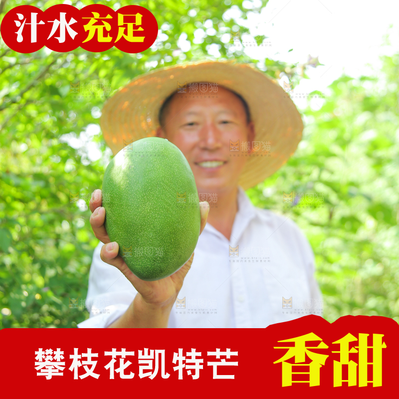 农民手里拿着青皮凯特芒