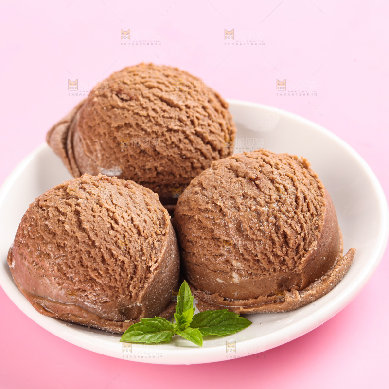 浅底上的一盘巧克力冰激凌