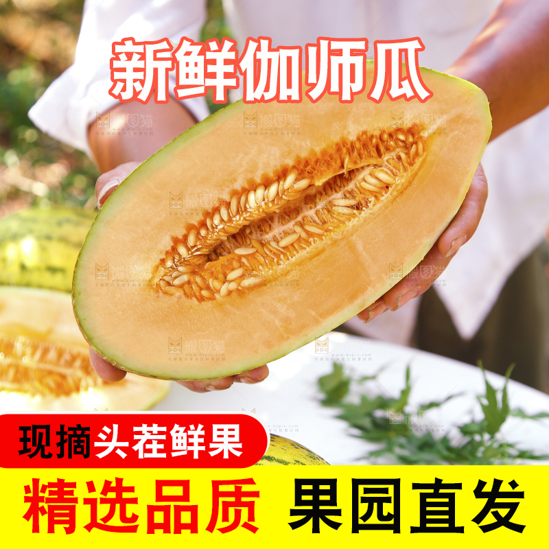 手里拿着新疆哈密瓜