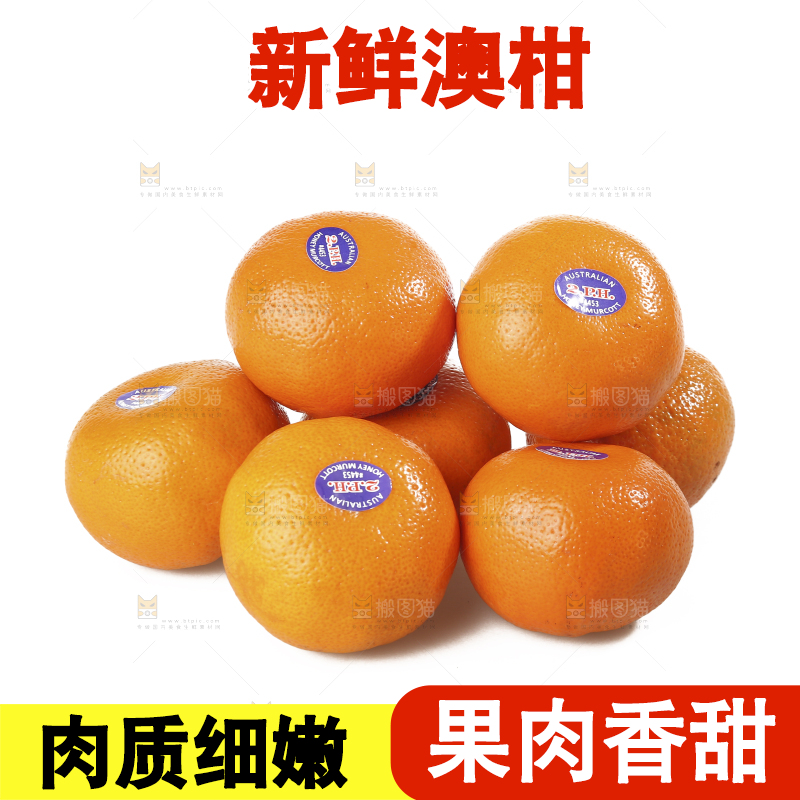 白底上摆放着新鲜澳柑