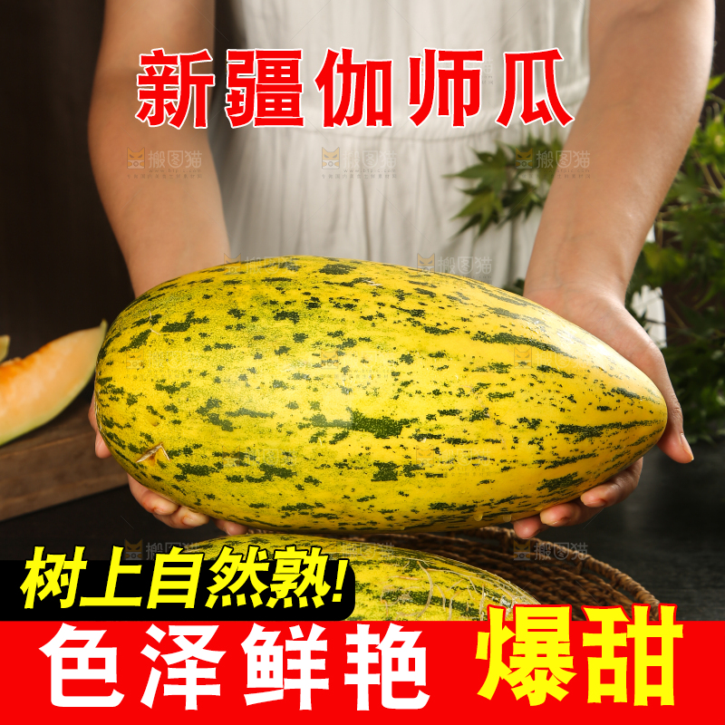 手里拿着新疆哈密瓜