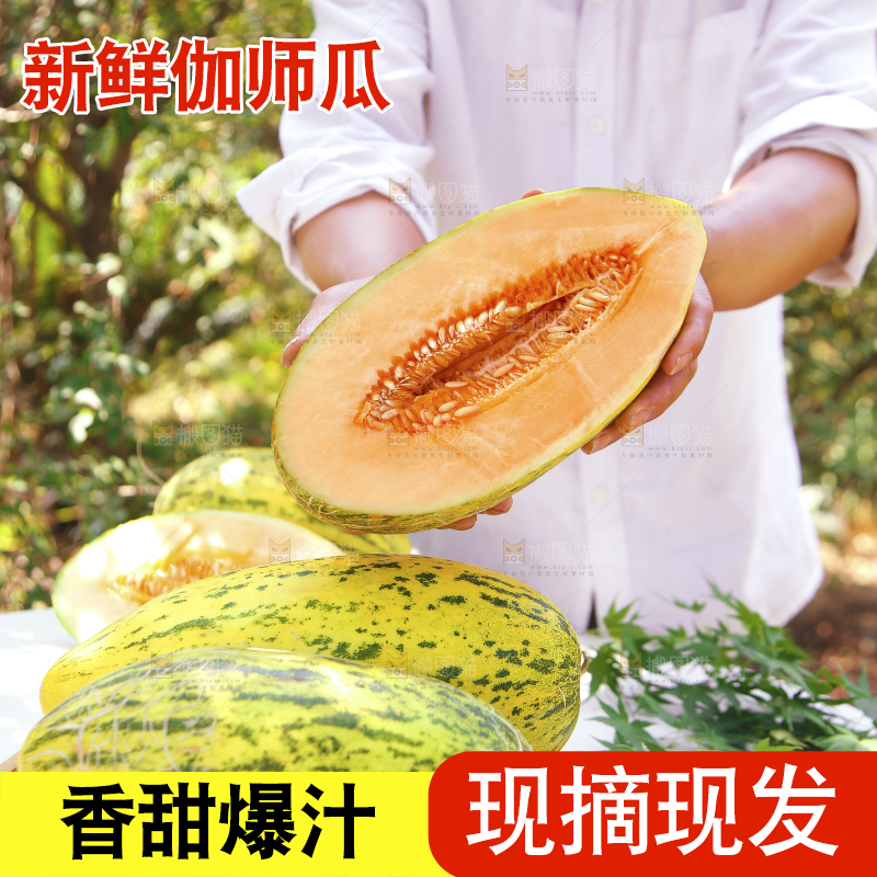 手里拿着新疆哈密瓜