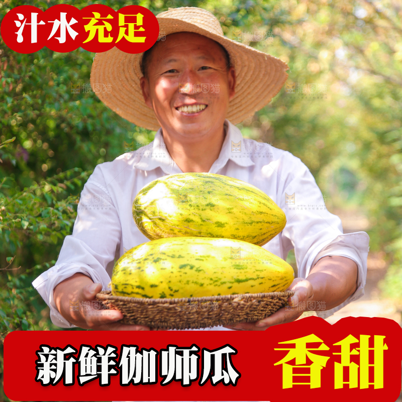 农民手里拿着一篮伽师瓜