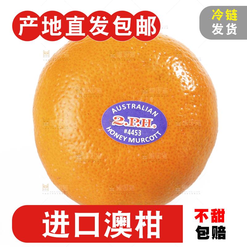 白底上放着新鲜澳柑