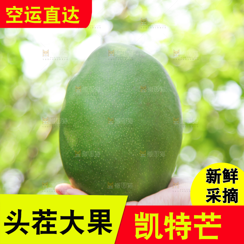 手里拿着凯特芒果