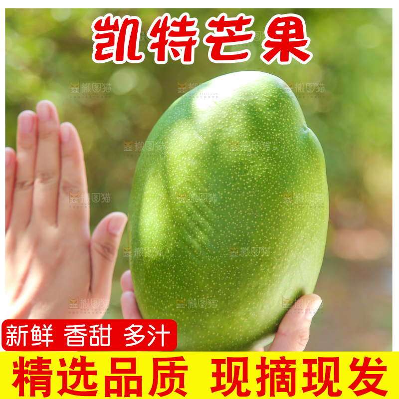 手里拿着凯特芒果