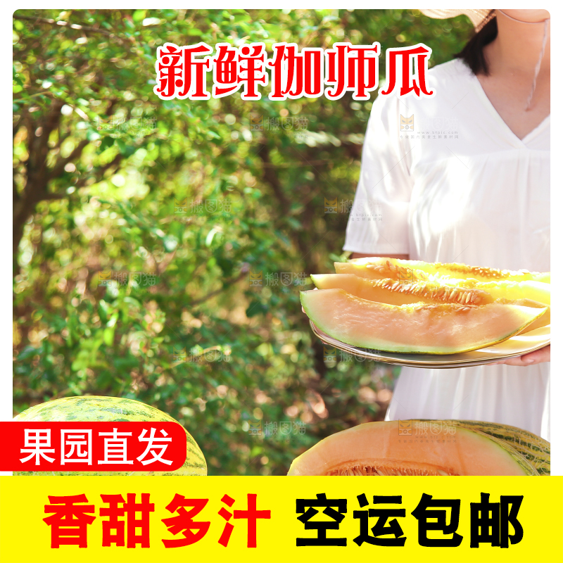 手端着一盘新疆哈密瓜