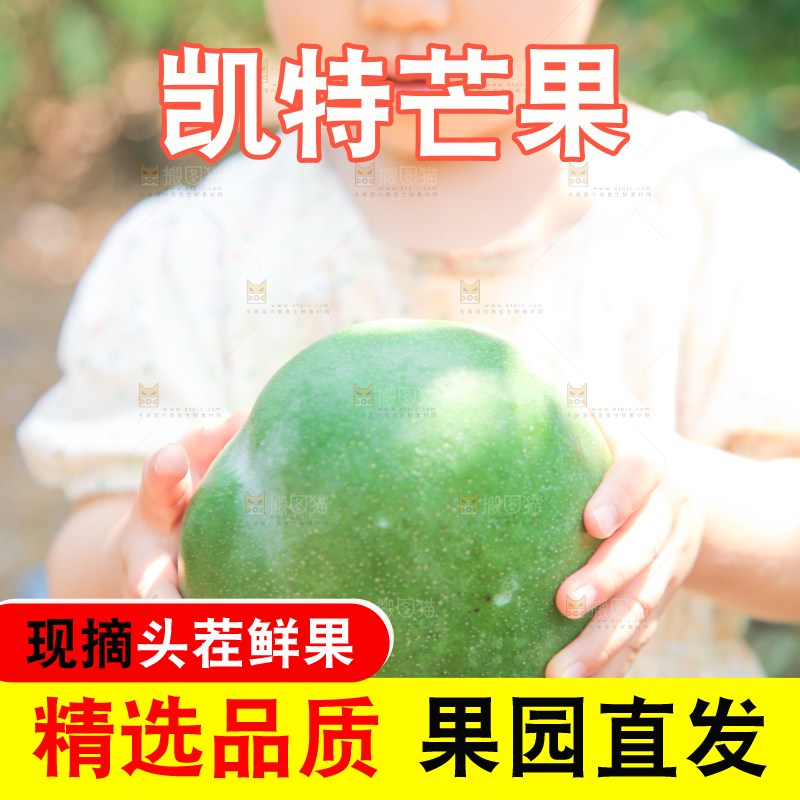 小孩手里拿着青皮凯特芒