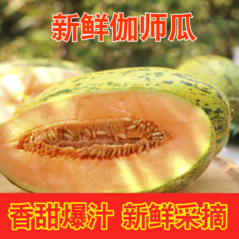 木盘里放着切开的伽师瓜