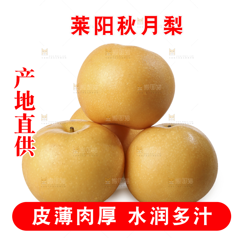 白底上摆放着秋月梨