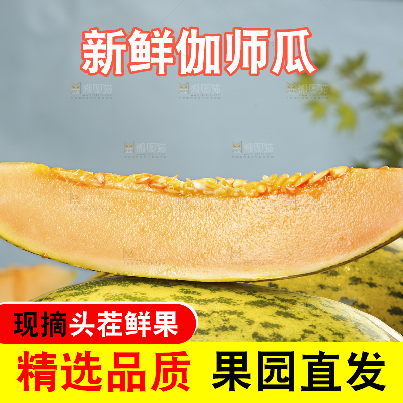 堆放着切开的伽师瓜
