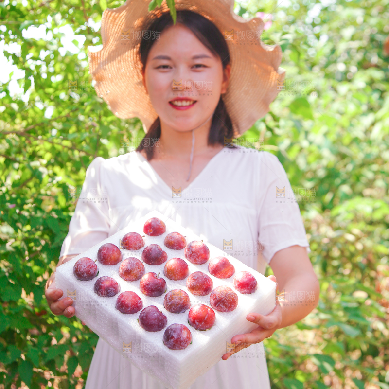 女孩手里拿着一盒红脆李