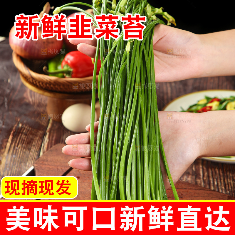 手里拿着嫩韭菜苔
