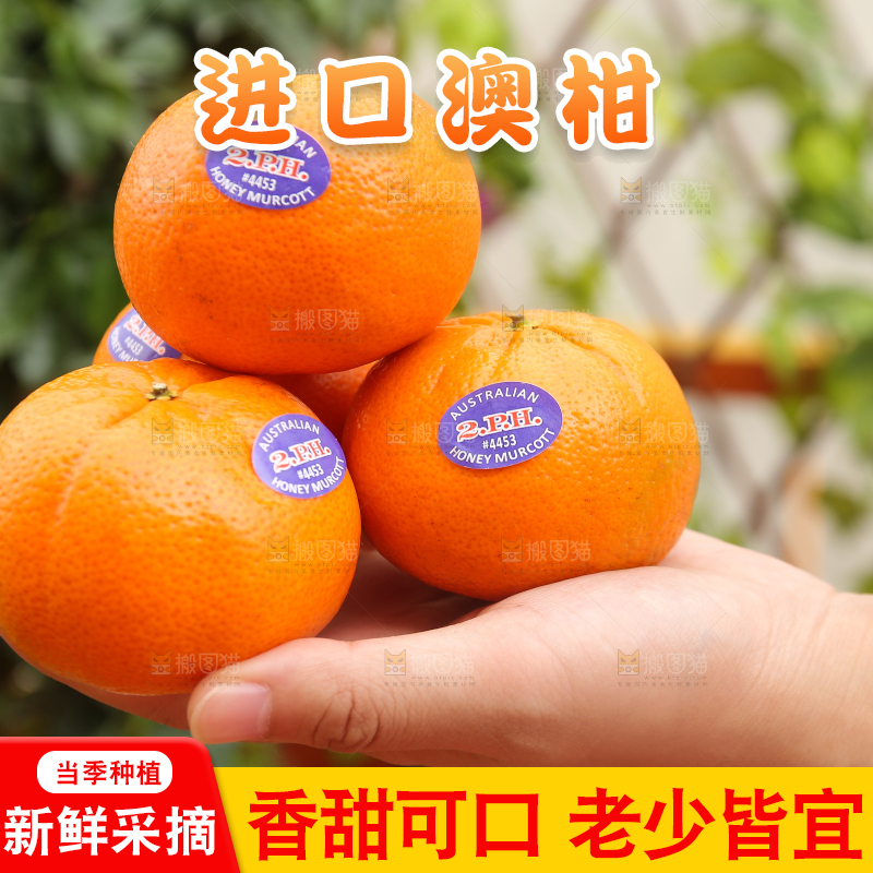 手里捧着新鲜澳柑