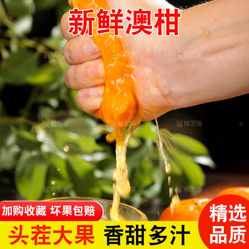 手里爆汁的新鲜澳柑