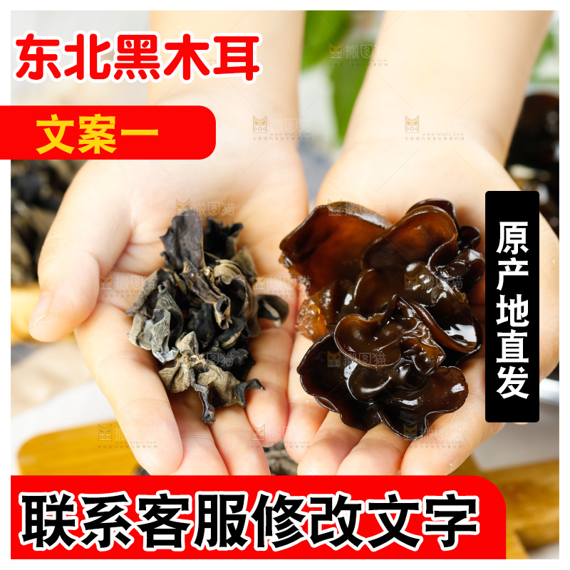 手上放着黑木耳