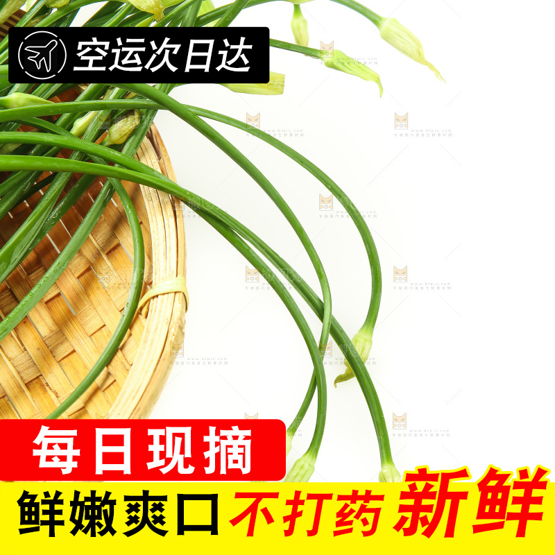 篮子里的新鲜韭菜苔
