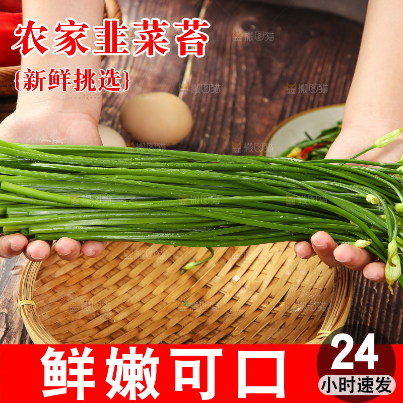 手里拿着韭菜苔