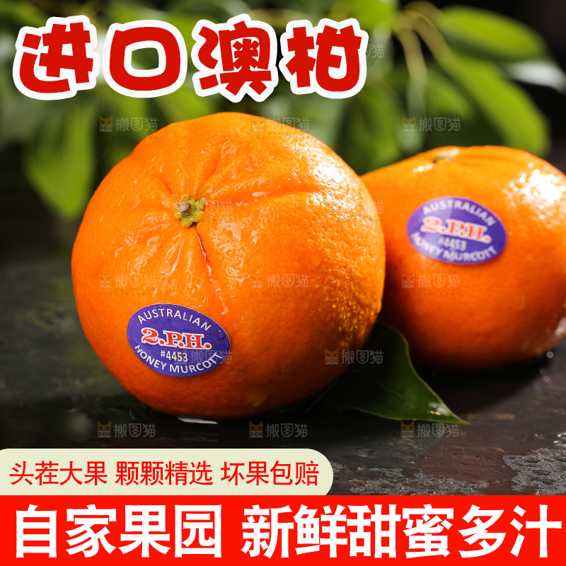 黑石板上放着的新鲜澳柑