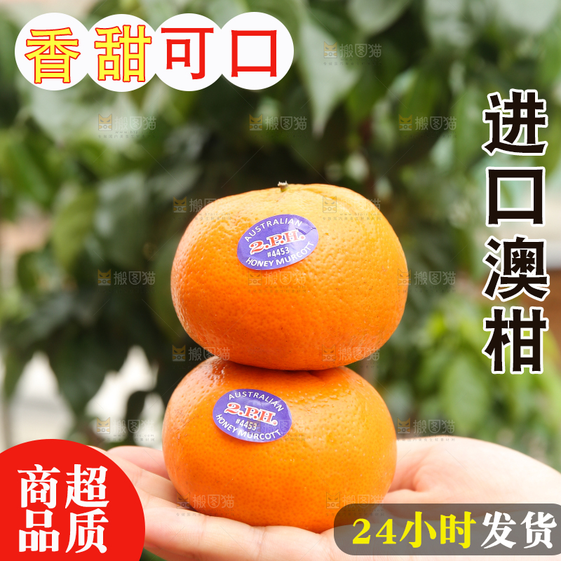 手上放着进口澳柑