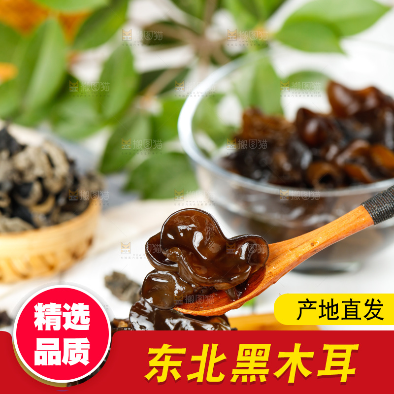 勺子上舀着黑木耳