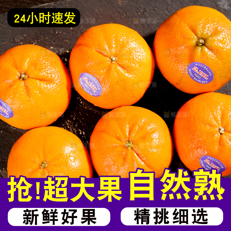 黑石板上摆放着的澳柑