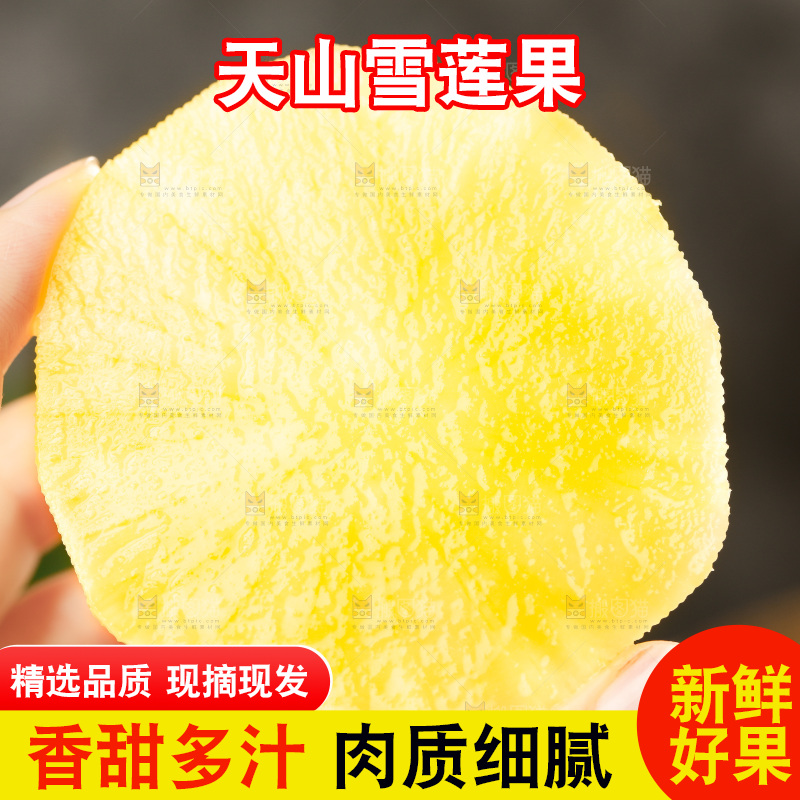 手里拿着天山雪莲果