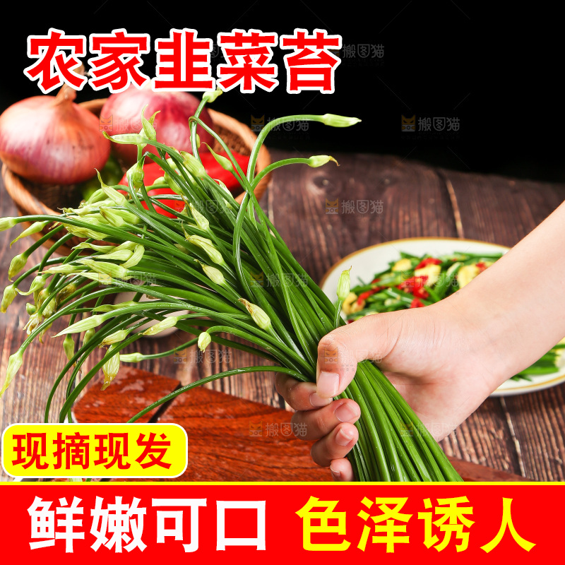 手里拿着韭菜苔
