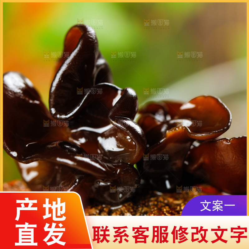 木底上的黑木耳