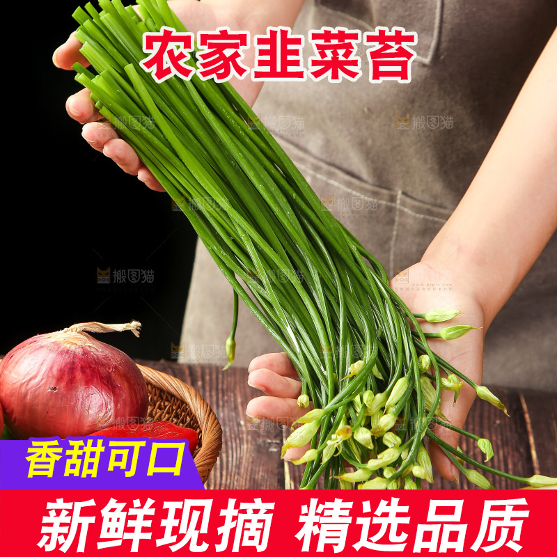 手里拿着韭菜苔