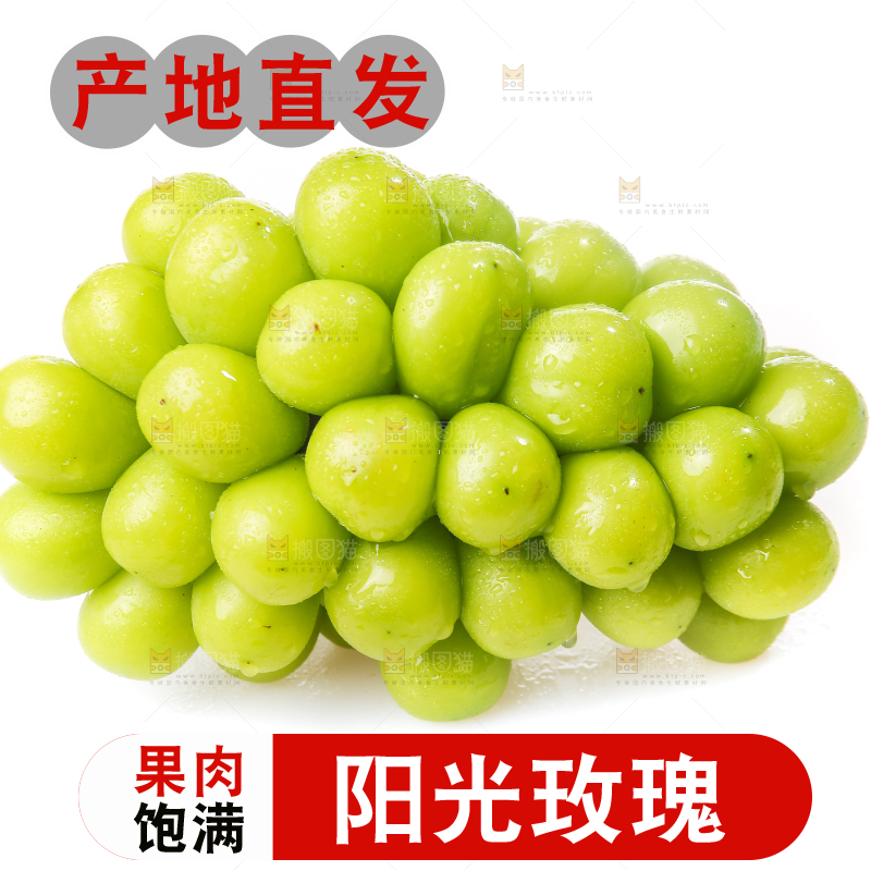 白底上的阳光玫瑰青提