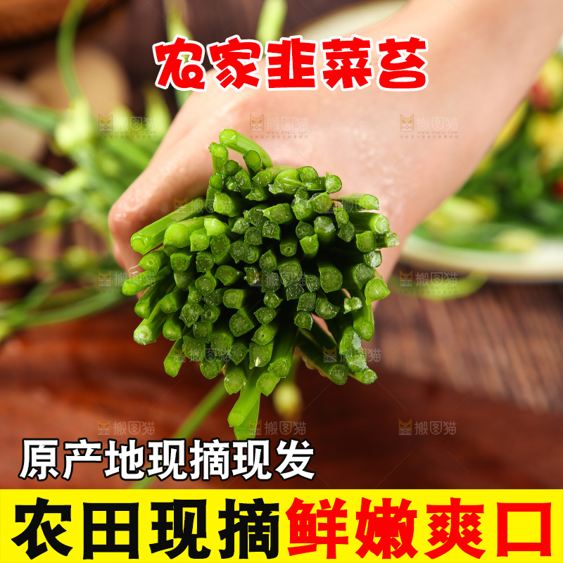 手里拿着嫩韭菜苔