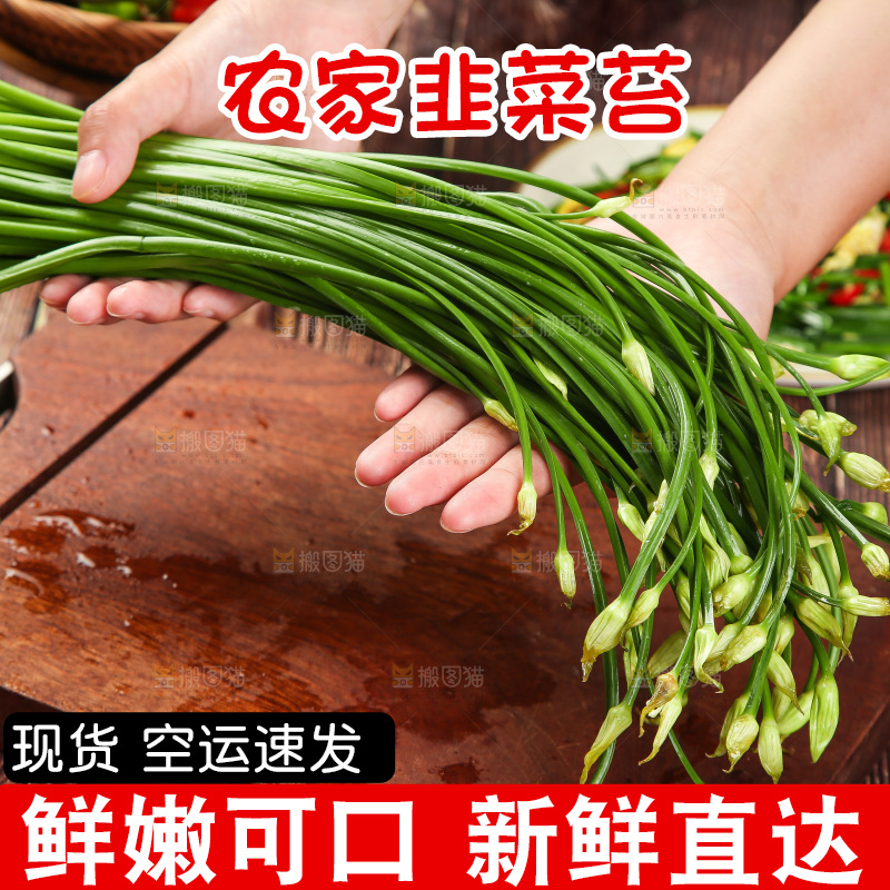 手里拿着嫩韭菜苔