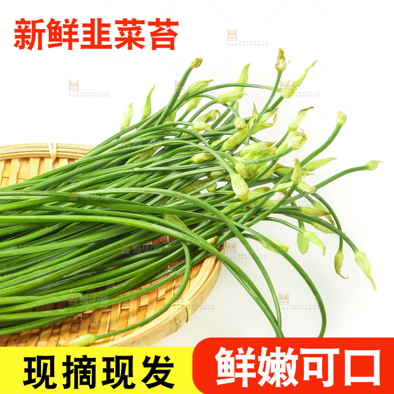 白底上的一篮韭菜苔