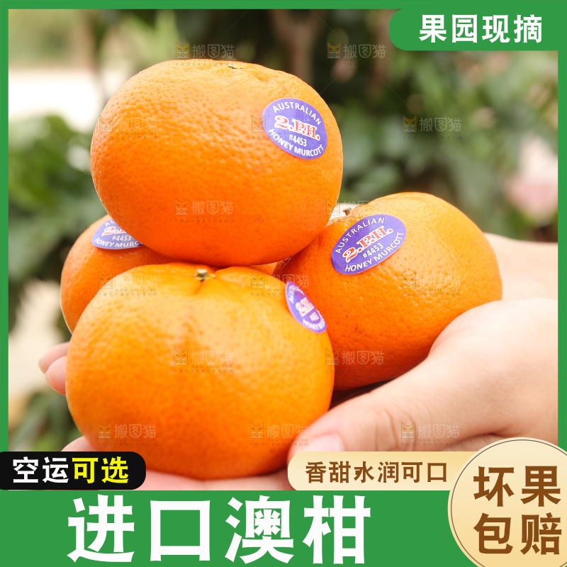 手里捧着新鲜澳柑