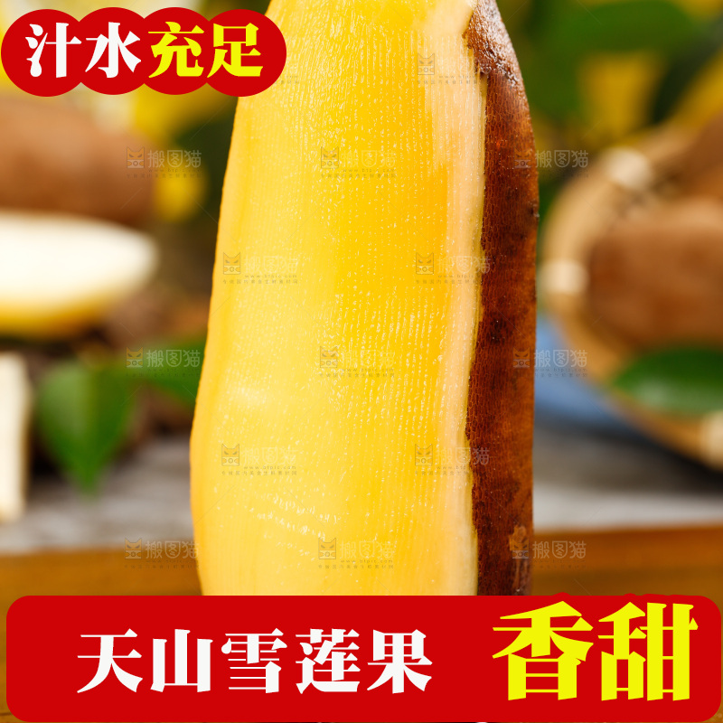 木底上的天山雪莲果