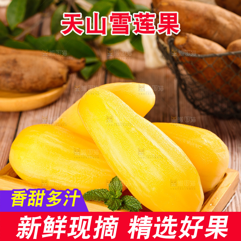 木盘里放着的天山雪莲果