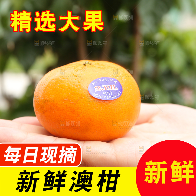 手上放着进口澳柑
