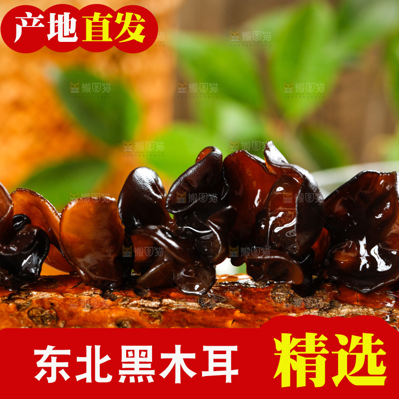 木底上的黑木耳