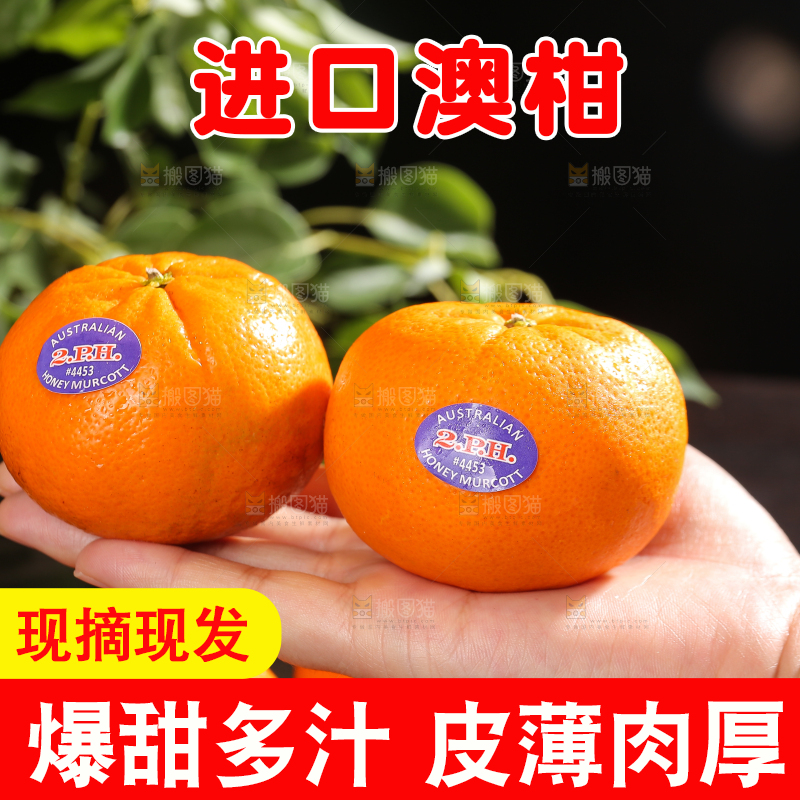 手上放着进口澳柑