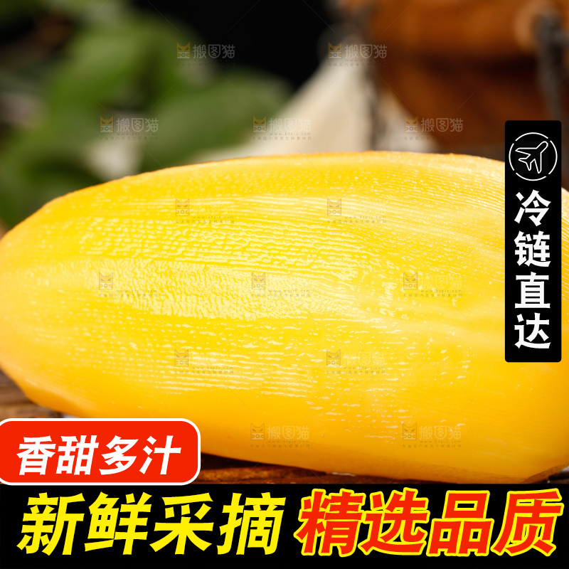 木排上的雪莲果