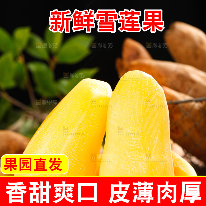 黑石板上的黄心雪莲果