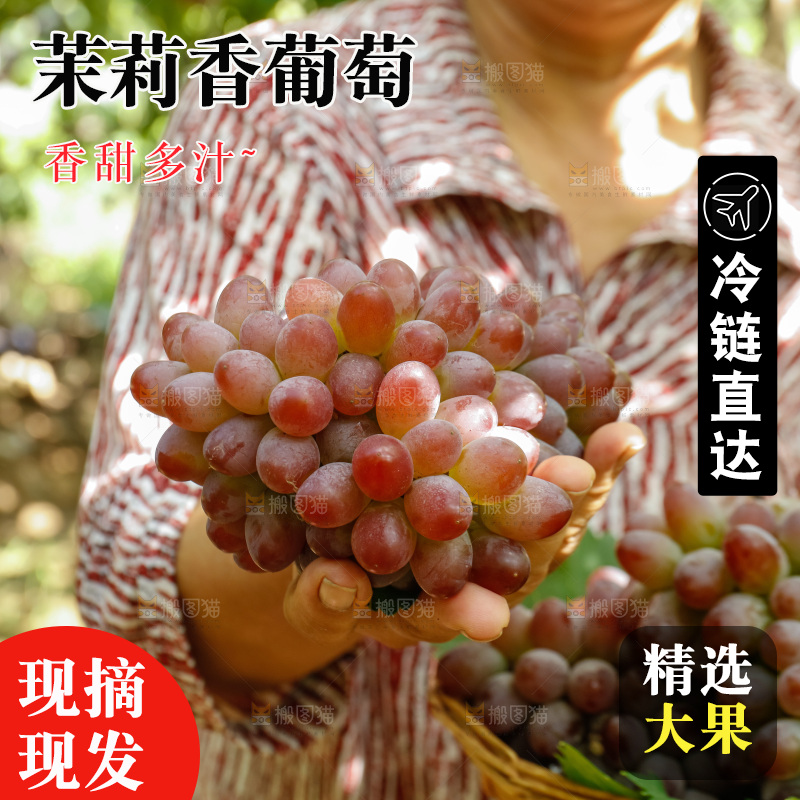 手里拿着茉莉香葡萄