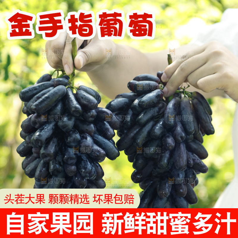 手里拿着蓝宝石葡萄