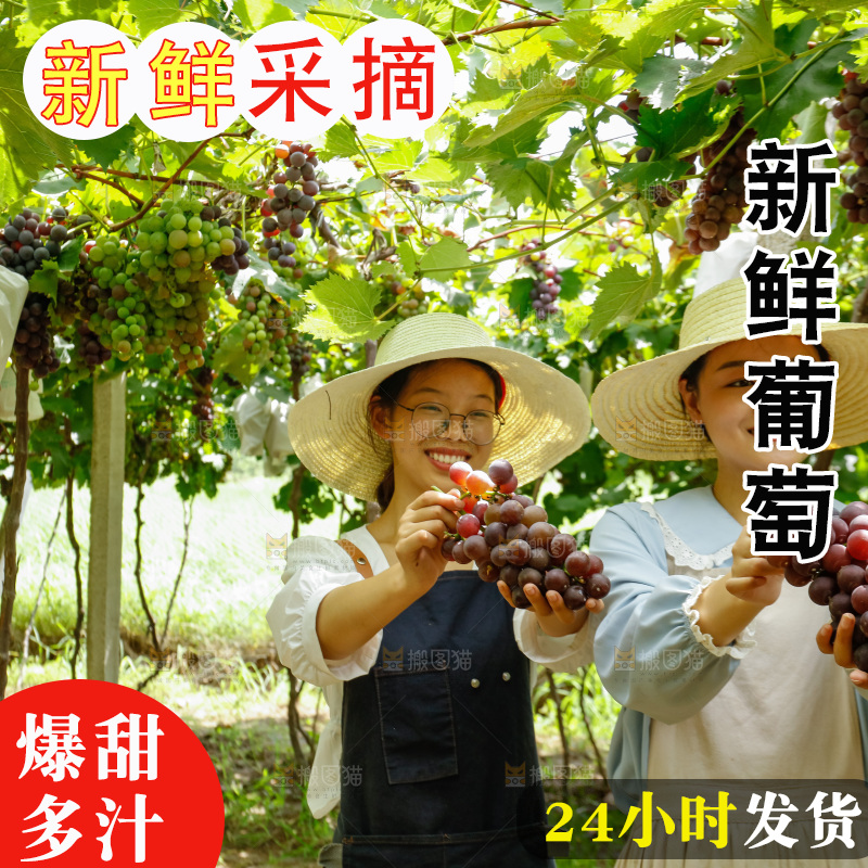 女孩手里拿着现摘葡萄