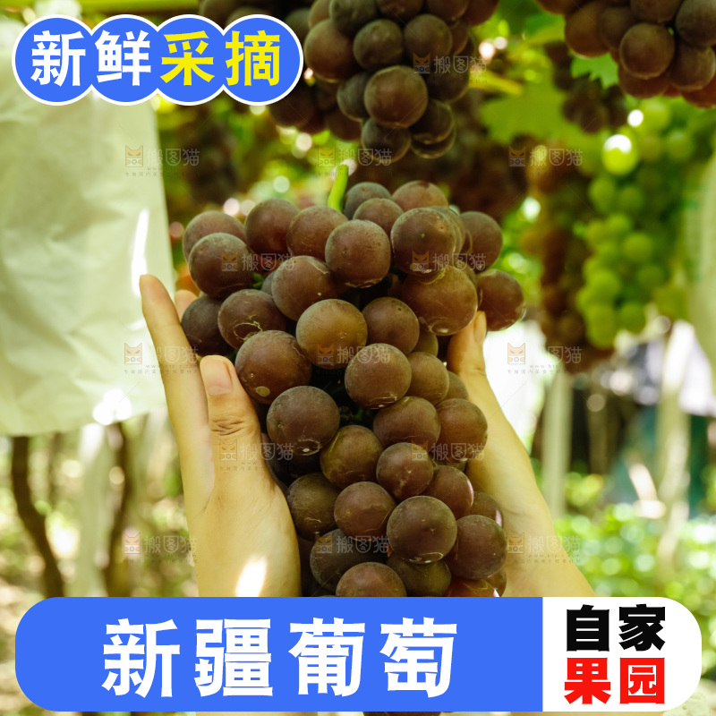 手里拿着一串大葡萄